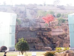 苏州科文中心塑石假山